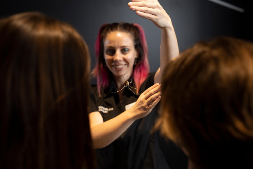 a woman shows museum visitors a spider, suspended between her hands