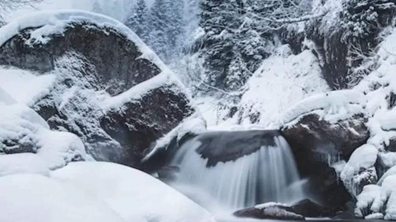 Can you spot the polar bear among the frozen waterfall?