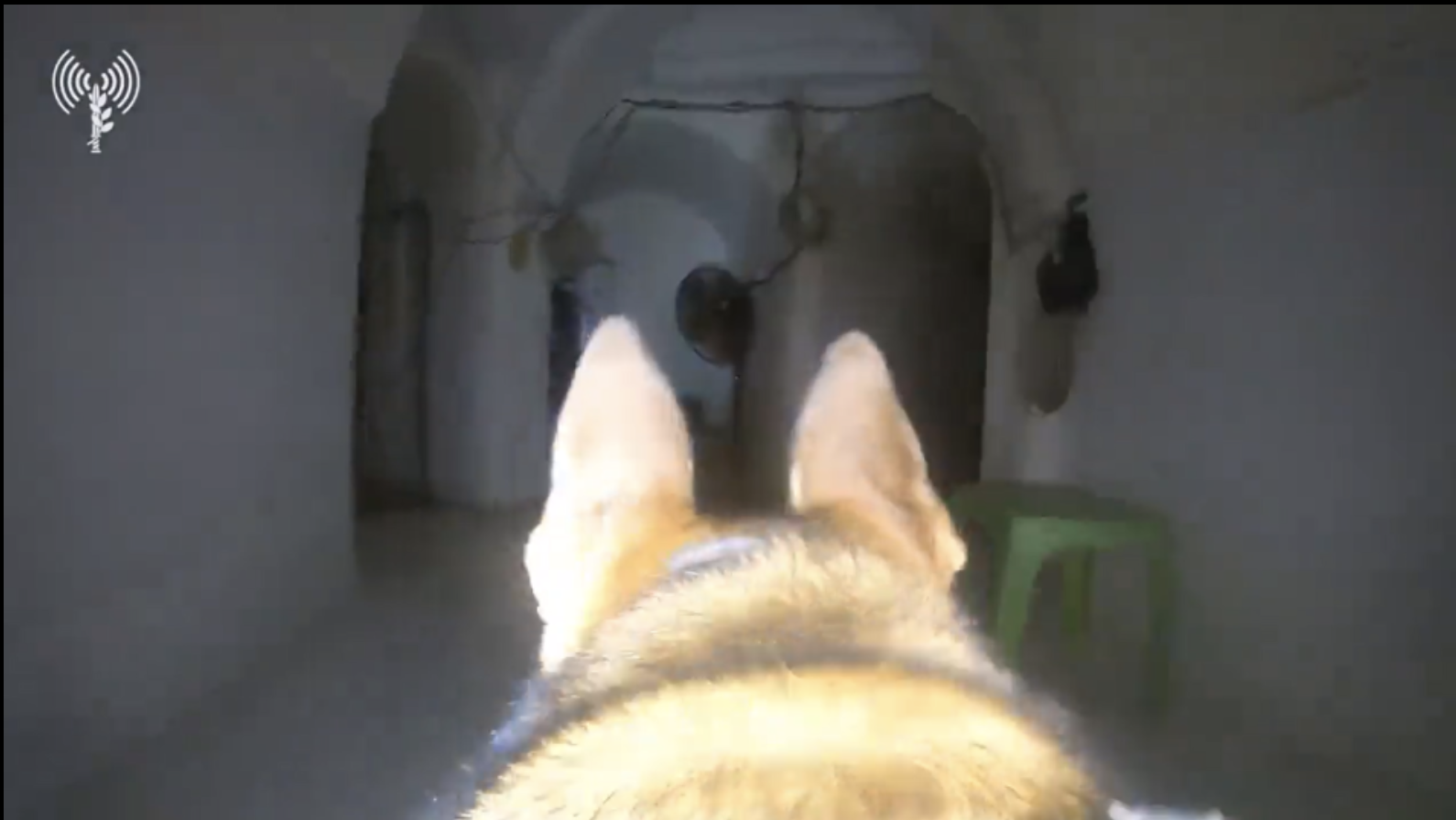 Another hound discovered hundreds of metres of command and control rooms inside Hamas tunnels