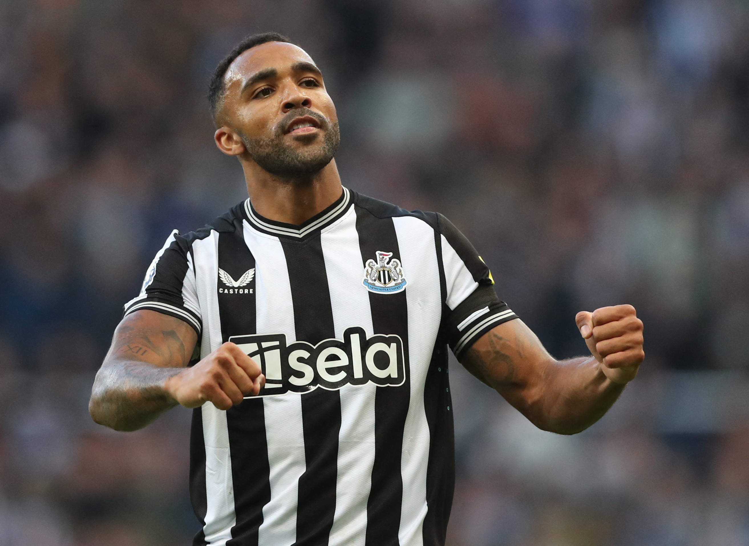 Callum Wilson could leave Newcastle before the end of the transfer window