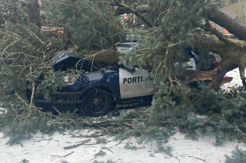 A Portland, Ore., police car was buried under a fallen tree during a severe winter storm that rocked the Pacific Northwest over the weekend. Police officials said no one was in the cruiser when the tree fell due to high winds and ice accumulation. Photo courtesy Portland Police Bureau/X