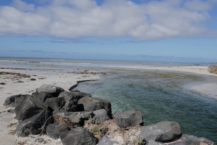 A small creek outlet, with water emptying into the ocean. 