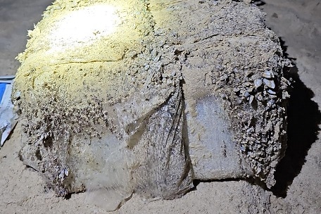 A plastic wrapped contained with extensive barnacle growth on the sand