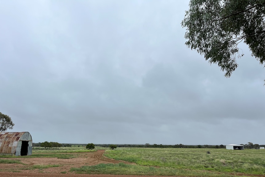 grey storm clouds hover over a property in north west Queensland