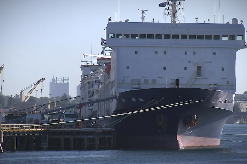 A ship in the water berthed at a port with Perth's skyline in the background