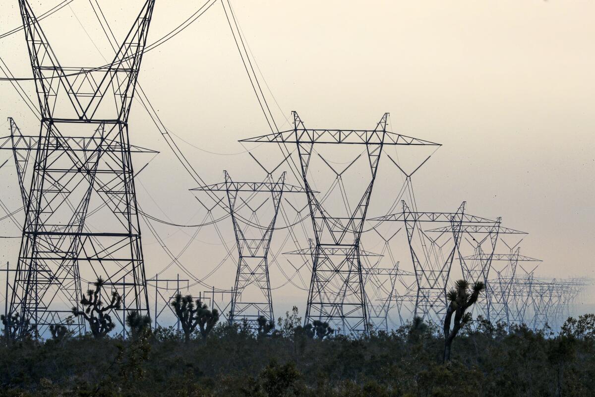 A view of power lines 