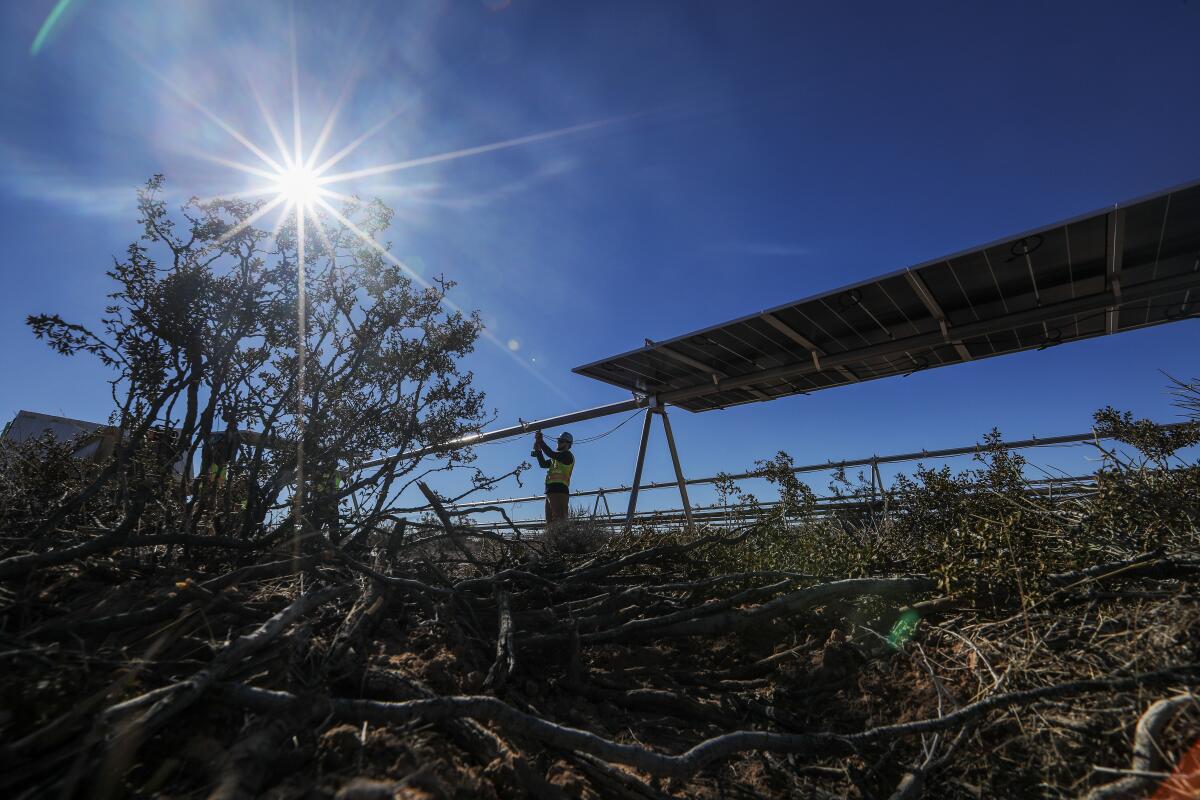 A  worker stands near a solar panel as the sun shines brightly 