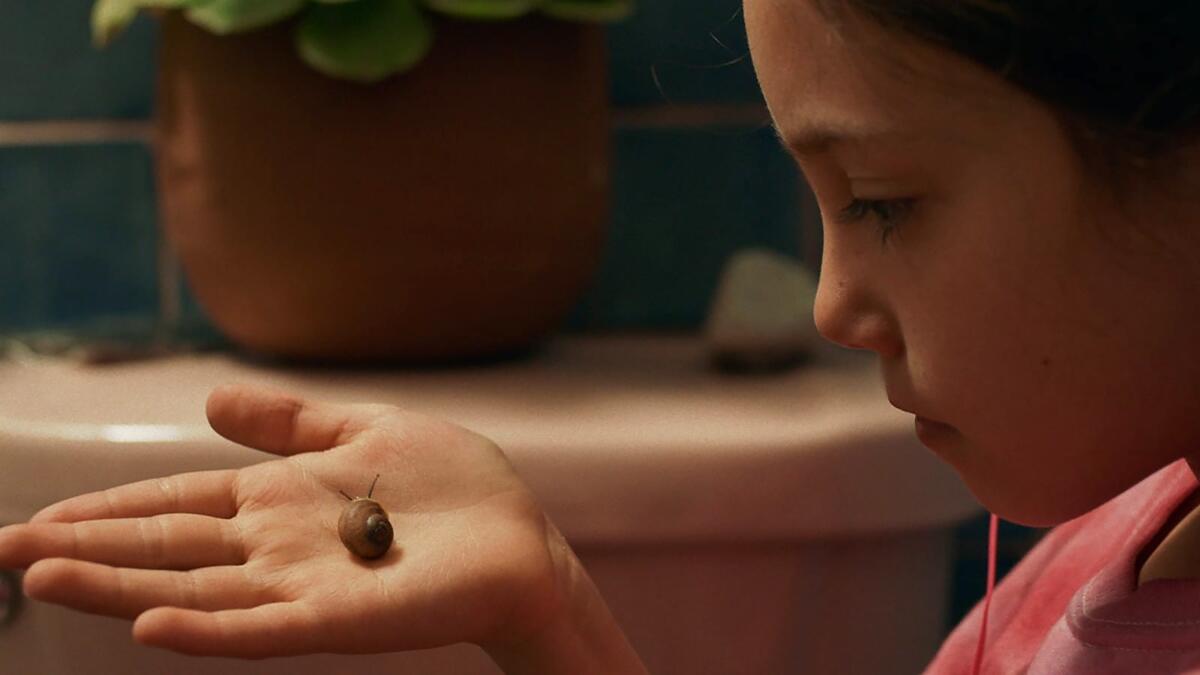 A young girl holds a snail.