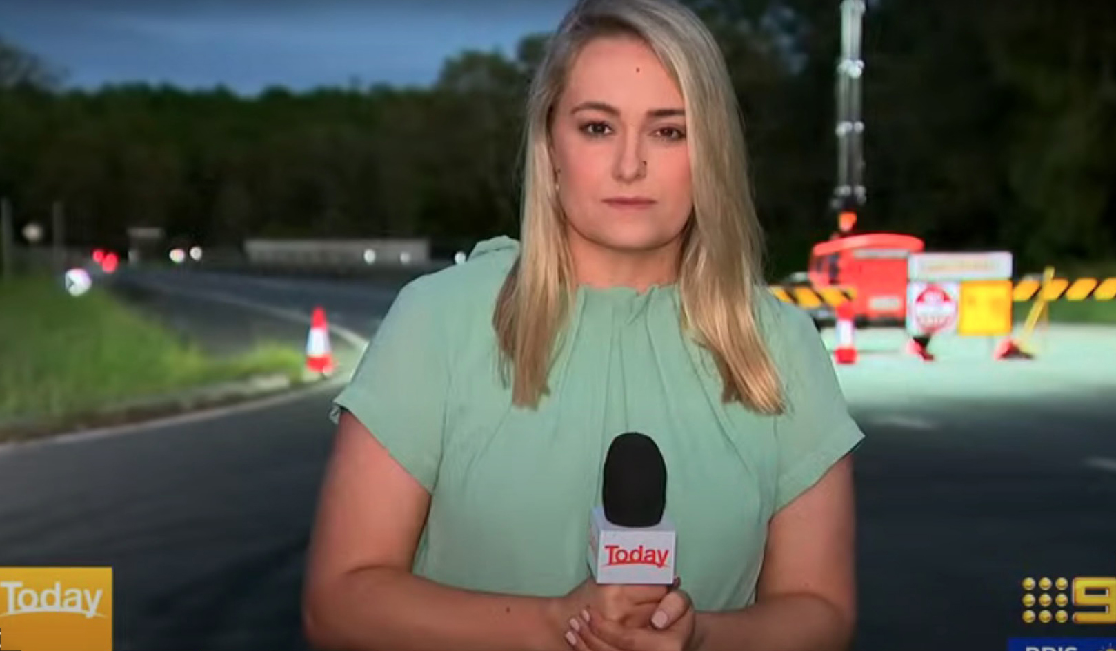 Andrea Crothers was covering the flood waters in Brisbane when she got attacked