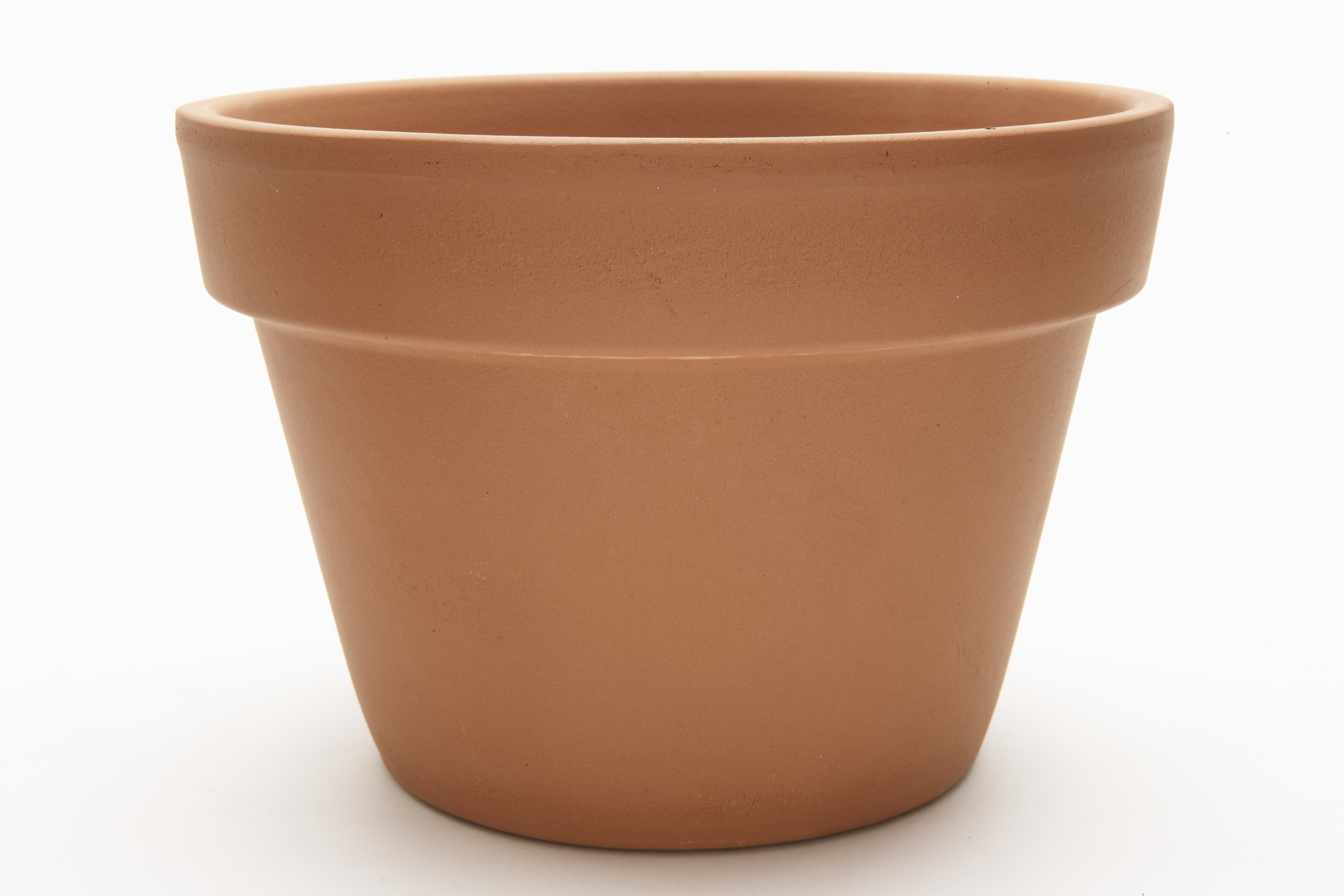 Terracotta flower pots are widely available from the high street