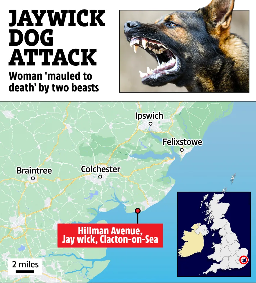 The attack happened near the seaside town of Clacton-on-Sea