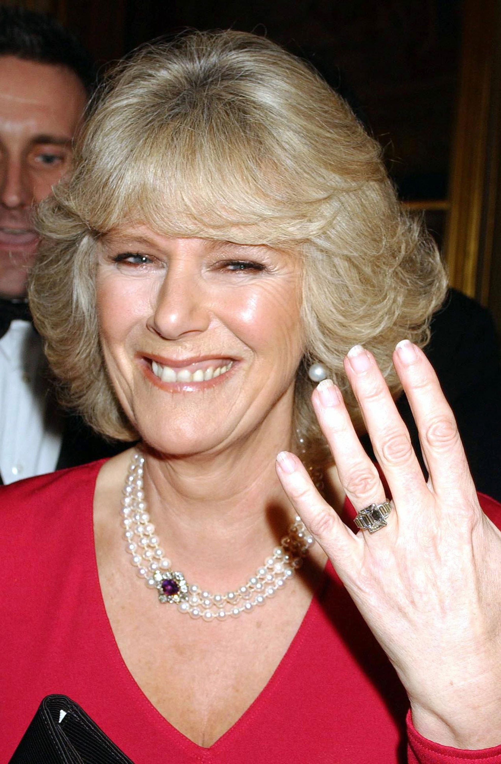 Charles and Camilla announced their engagement in February 2005