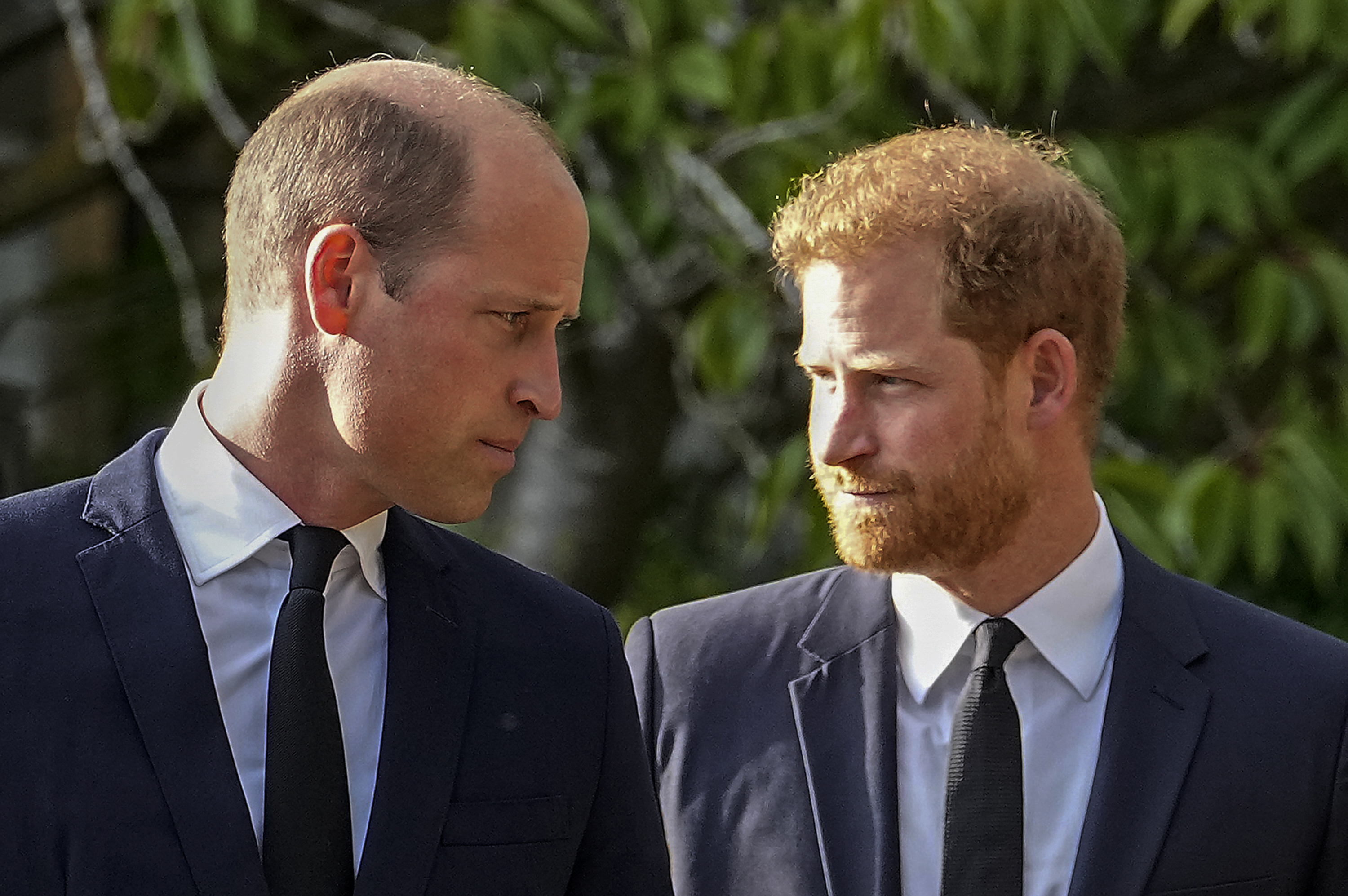 Harry and William did not see each other during the former's brief visit