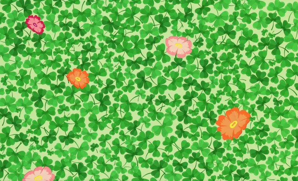 See if you can find the four leaf clover in this image