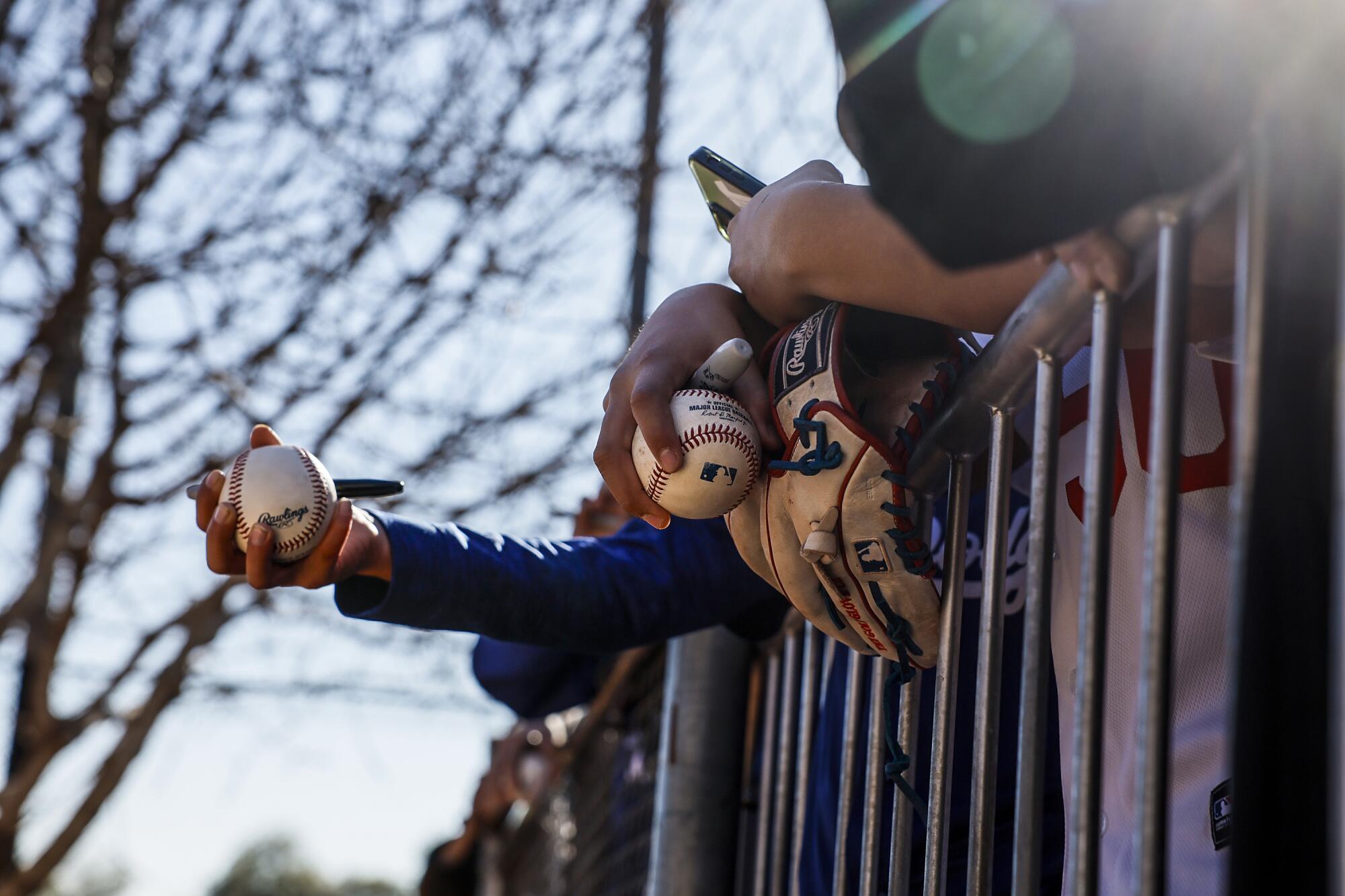 Fans wait for players to arrive at Dodgers' first official day of spring training.