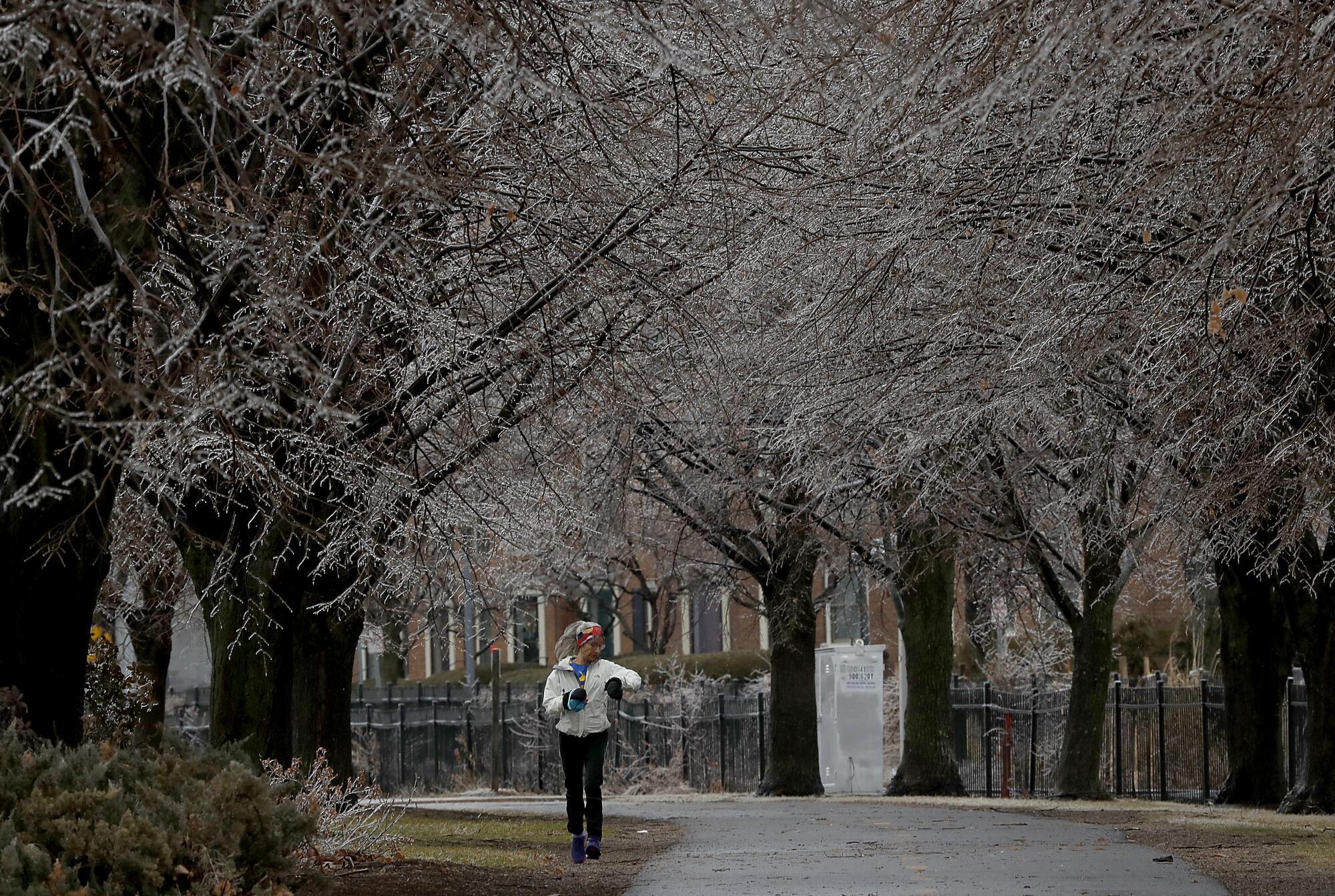 A jogger runs under frosted trees in the Burlington Waterfront Park and Promenade on the shores of Lake Champlain. Presidential candidate and U.S. Sen. Bernie Sanders led a push to restore and preserve the area for public use when he was the city's mayor in the 1980s.