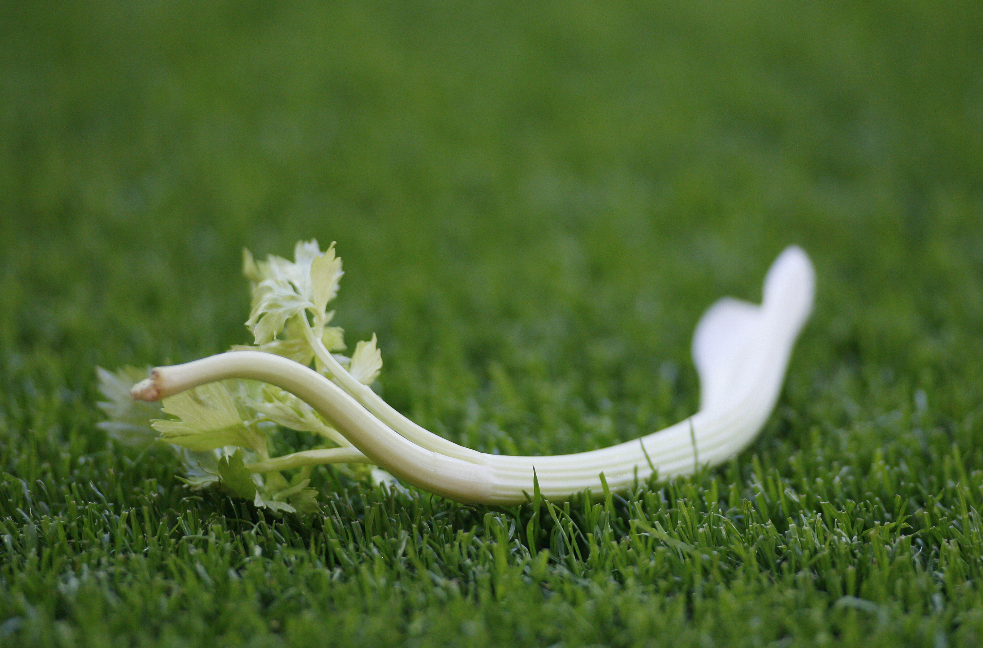 Chelsea chiefs BANNED celery from Stamford Bridge in 2007