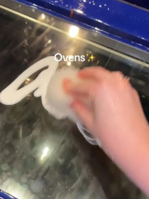 The cleaning fanatic demonstrated how the product easily removes grease from oven doors