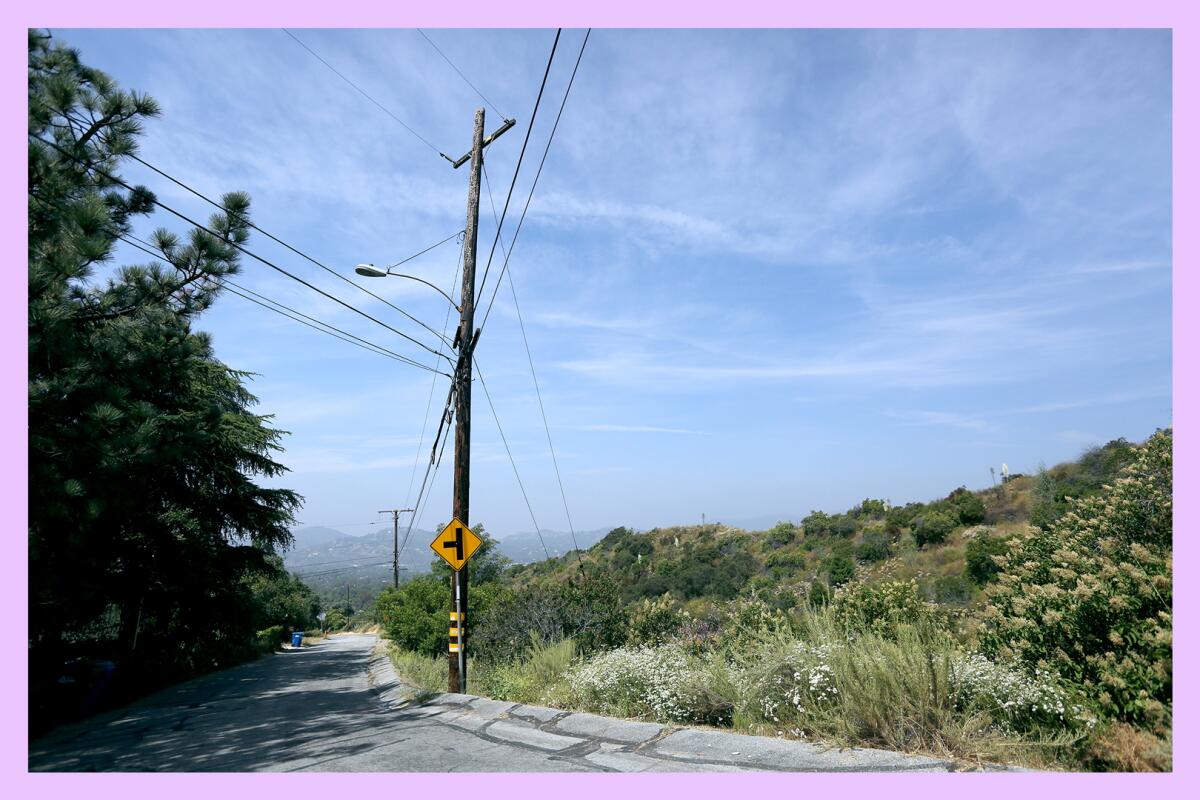 A power pole used by acorn woodpeckers at the 3700 block of Chaney Trail in Altadena