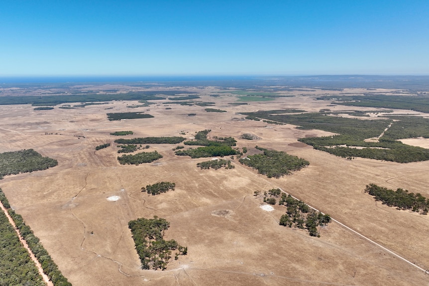 Farm land with water on the horizon