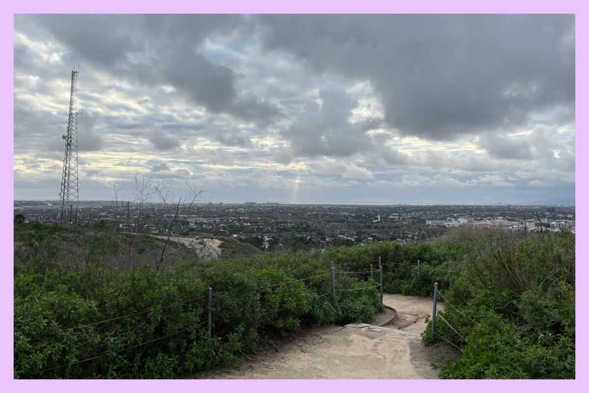 The Baldwin Hills Overlook