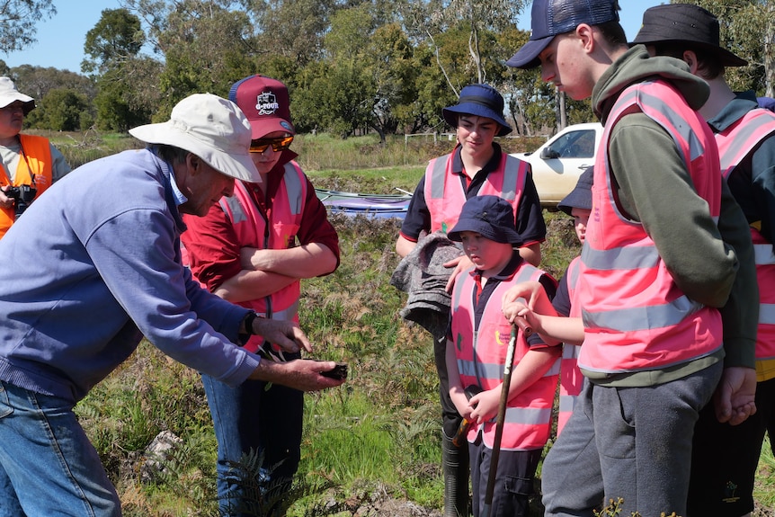 Volunteers and school students examining seedlings at Walkers Swamp.