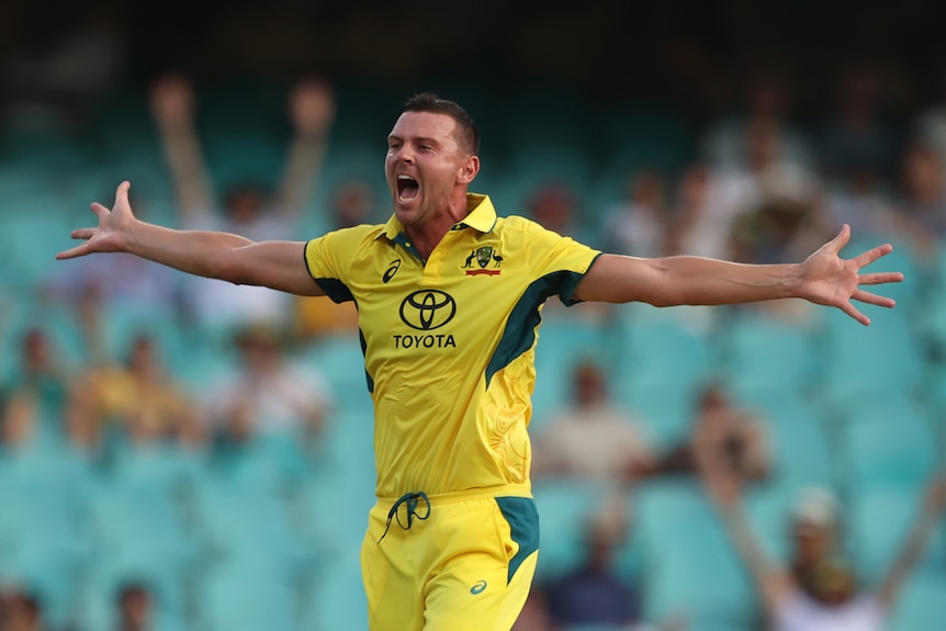 Josh Hazlewood holds his arms out and appeals