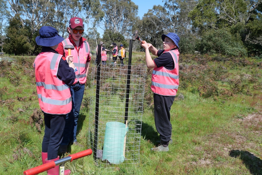 Two students and an adult with a tree planting.