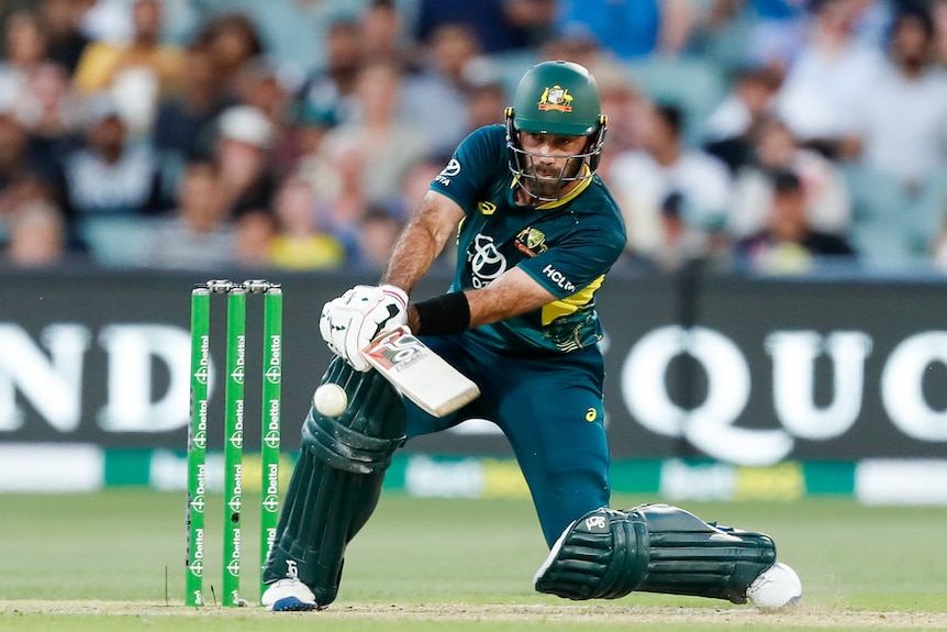 Glenn Maxwell hitting a cricket ball with a bat. 