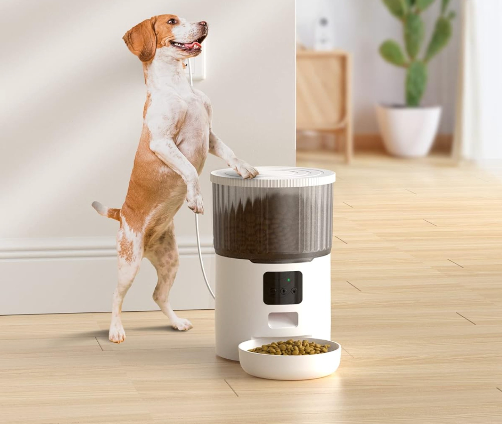 This automatic pet feeder is a life-saver for owners on the go