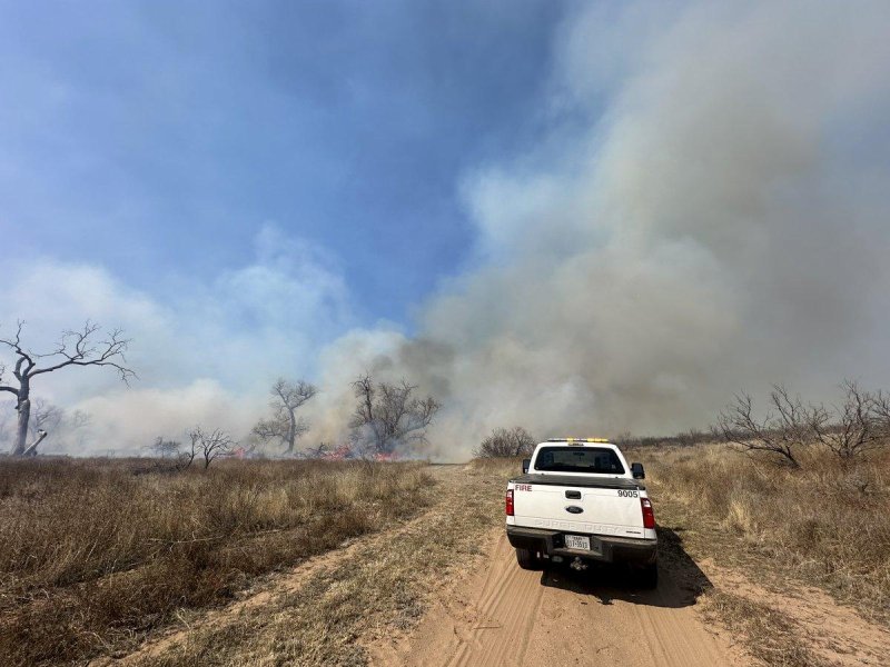 Responders in Texas were fighting to contain five fast-moving fires that had scorched more than 1 million acres. Photo courtesy of Texas A&amp;M Forse Service/X