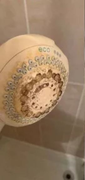 Many people told her to throw away her shower head instead of cleaning it