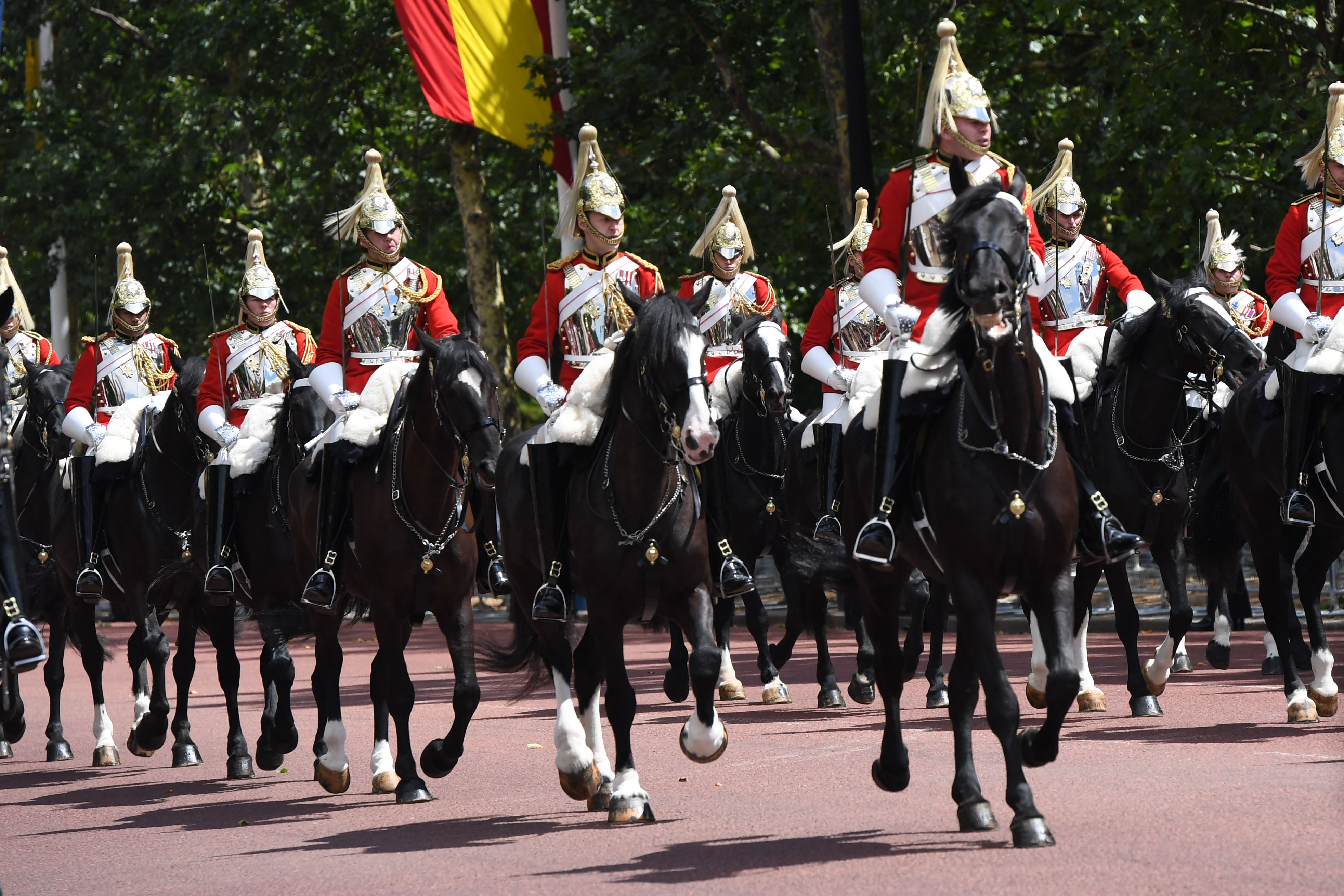 Soldiers have been banned from drinking Red Bull — but only when near horses