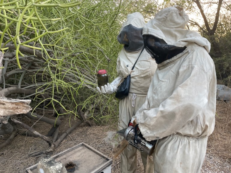 Beekeepers in Senegal