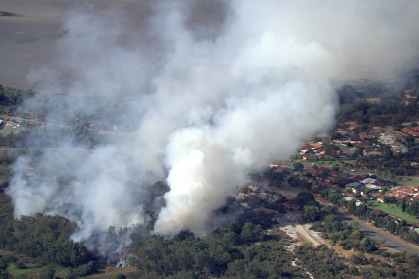 Smoke plumes billow amongst trees and rooftops