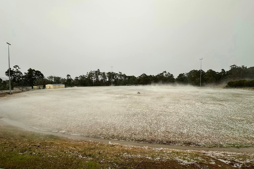 A ground covered in white hail, overcast sky, trees in the background.