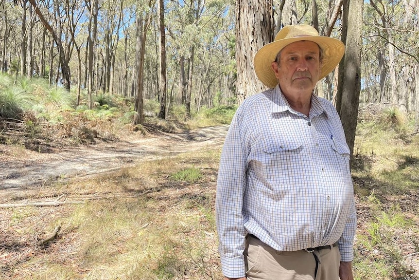 A man wearing a hat stands in bushland.