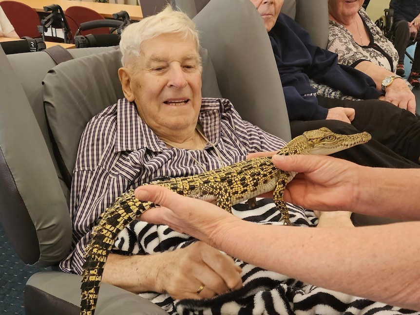 an elderly aged care resident looks at a juvenile saltwater crocodile