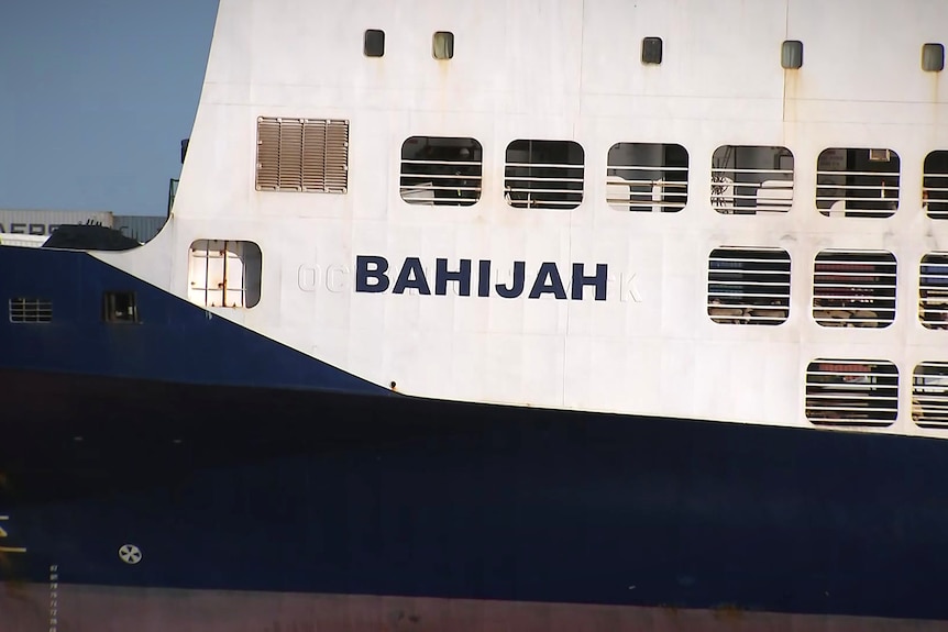 A close up of a livestock ship in the water