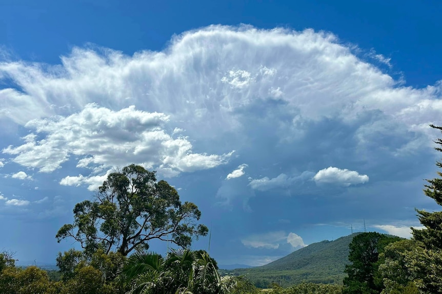 A big cloud in the Victorian sky