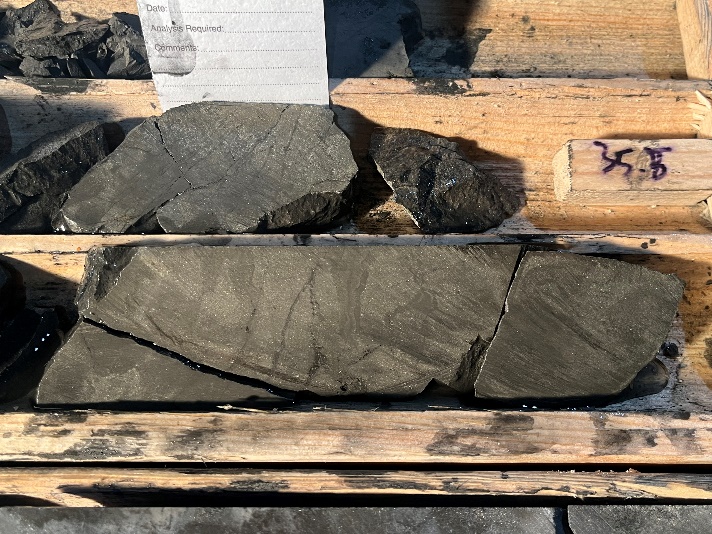 VMS Mineralization (Sample #252992)