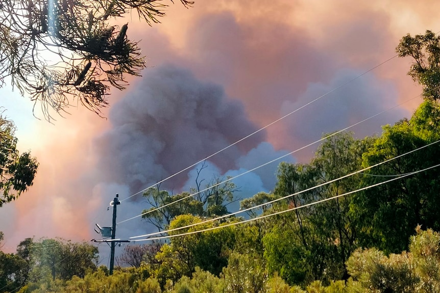 Thick smoke over trees.