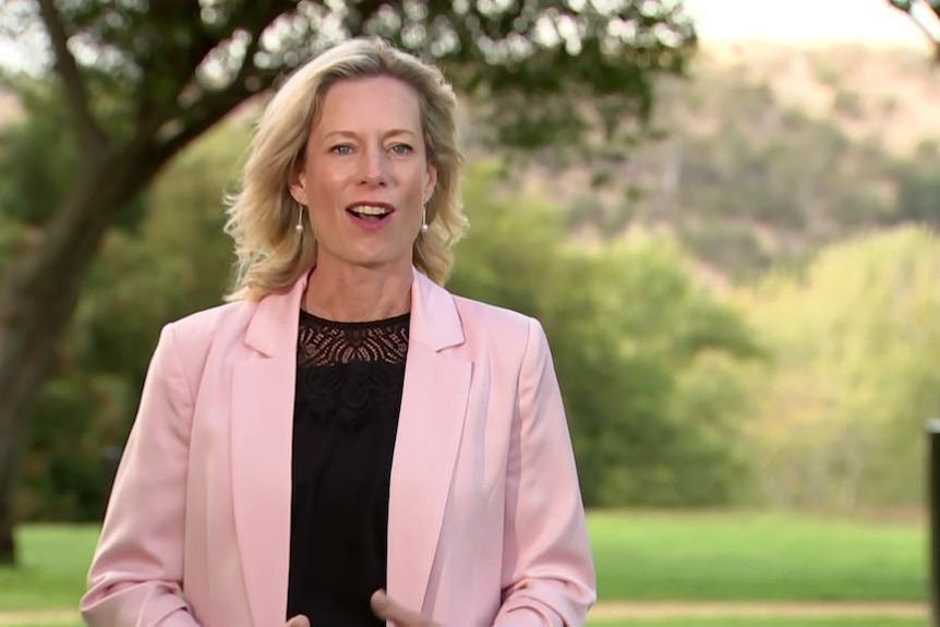 Rebecca White announces she will stand down as Labor leader