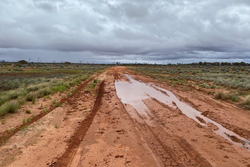 dirt road partly flooded