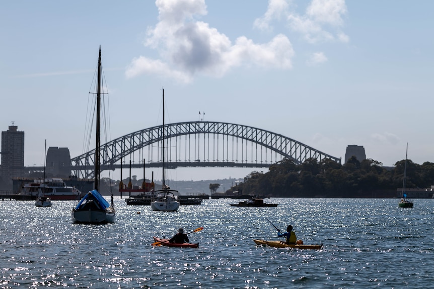 Two people are seen kayaking along Sydney Harbour. The Harbour Bridge can be seen in the background.