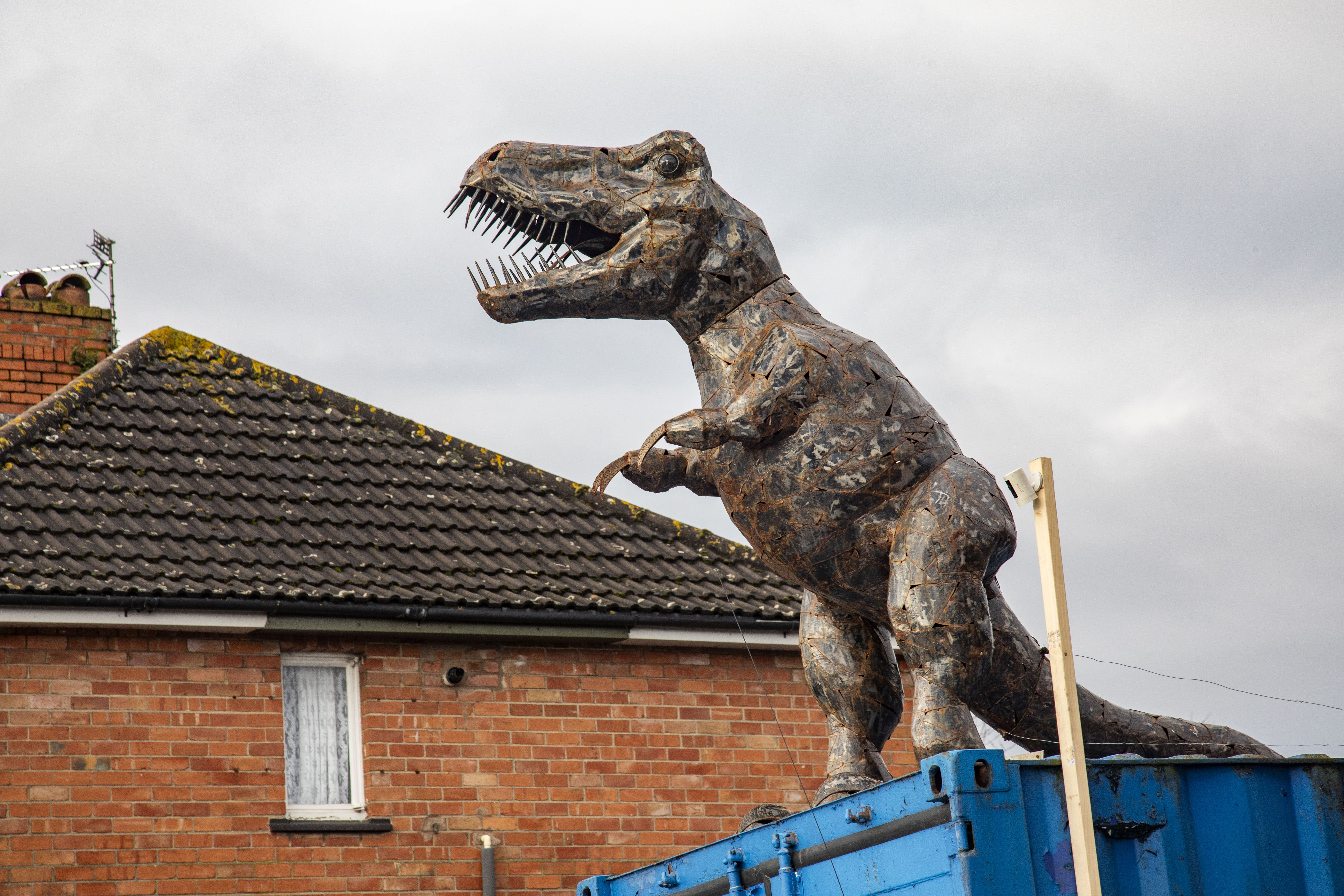 Ben nabbed the T-Rex at a garden centre three years ago