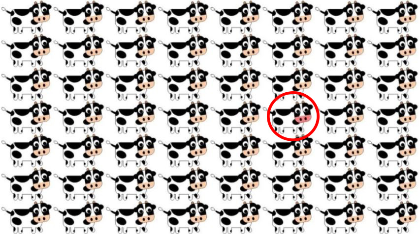 Were you able to spot the cow before the timer ran out?