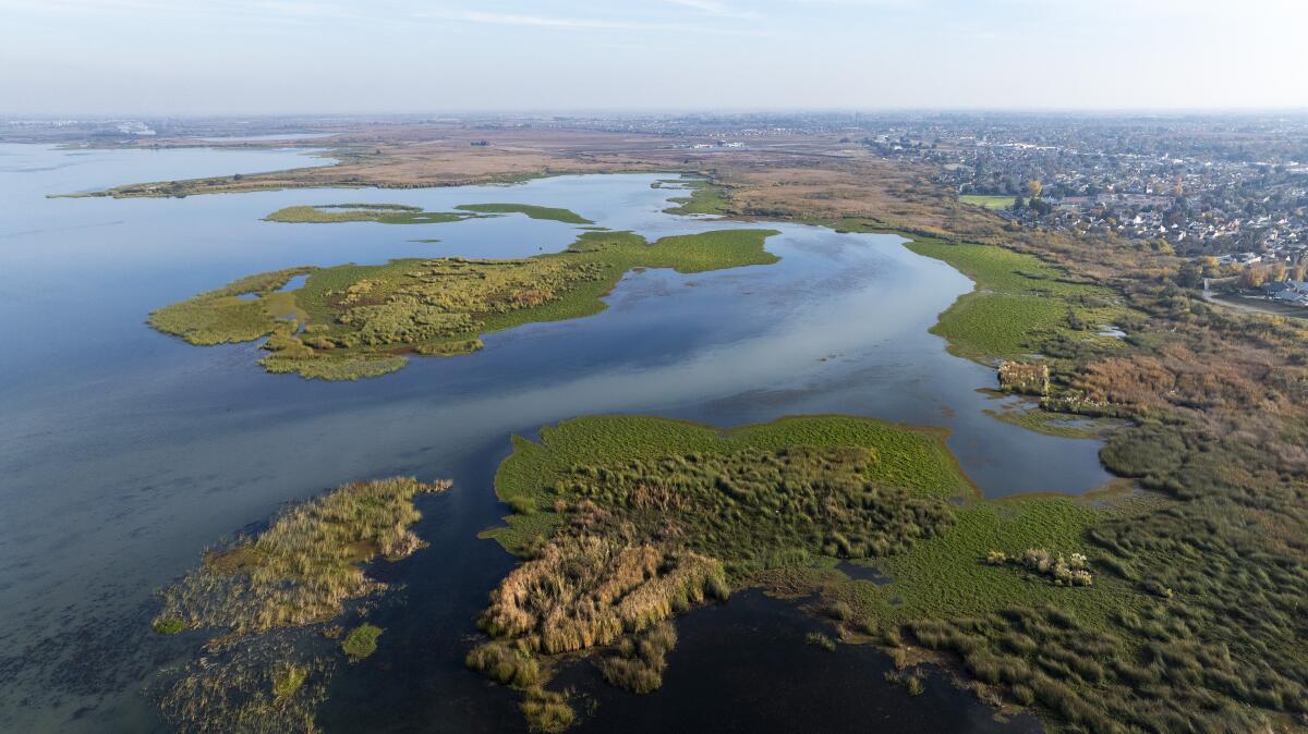 Estuary islands and the town of Oakley, right, on Big Break, a small bay on the San Joaquin River.