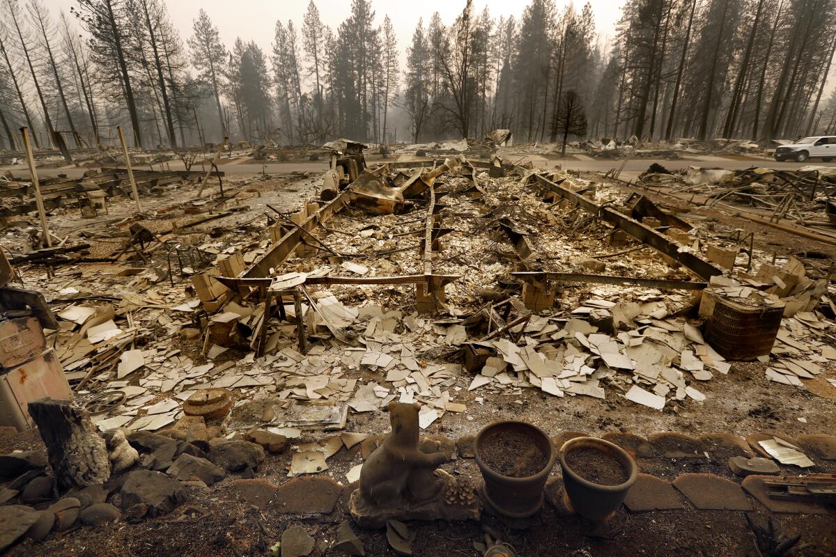 Part of a town that was destroyed by a wildfire. 