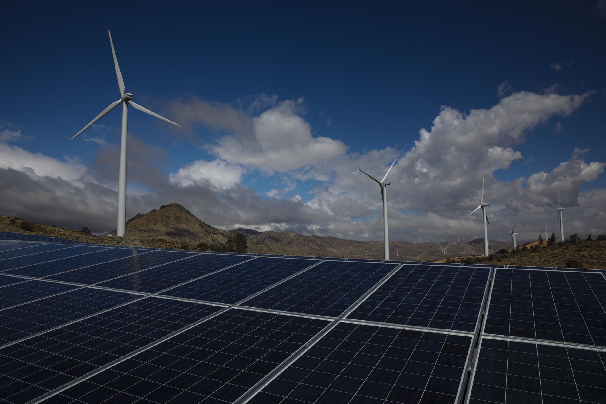 Wind turbines rise above an array of solar panels.